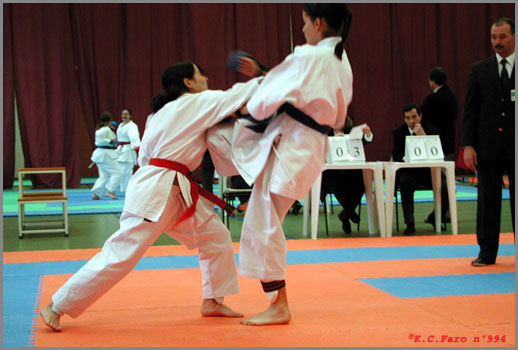 DSCN0994